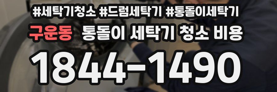 구운동 통돌이 세탁기 청소 비용