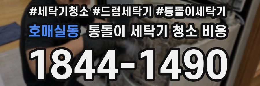 호매실동 통돌이 세탁기 청소 비용