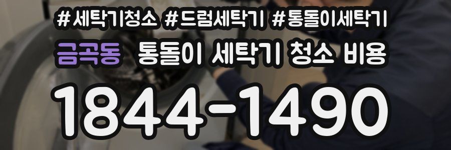 금곡동 통돌이 세탁기 청소 비용