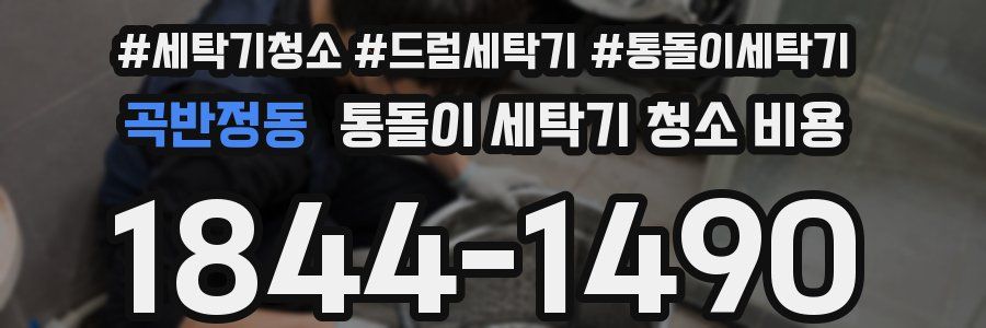 곡반정동 통돌이 세탁기 청소 비용