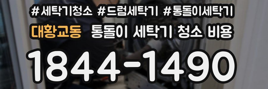 대황교동 통돌이 세탁기 청소 비용