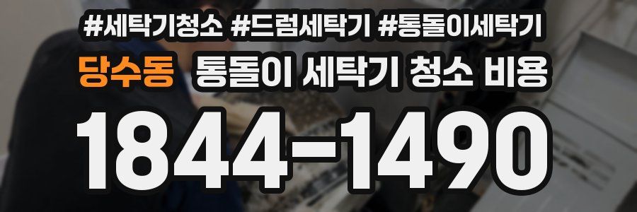 당수동 통돌이 세탁기 청소 비용
