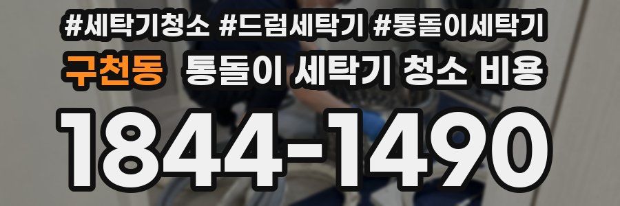 구천동 통돌이 세탁기 청소 비용
