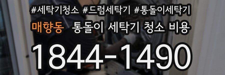 매향동 통돌이 세탁기 청소 비용