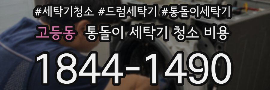 고등동 통돌이 세탁기 청소 비용