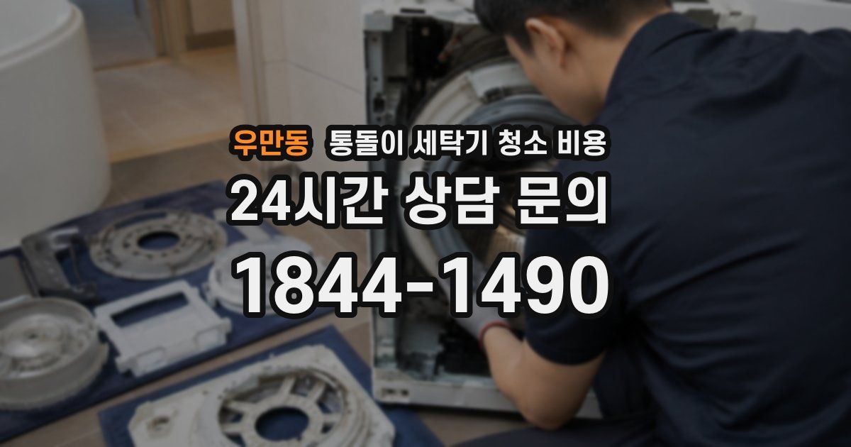 우만동 통돌이 세탁기 청소 비용