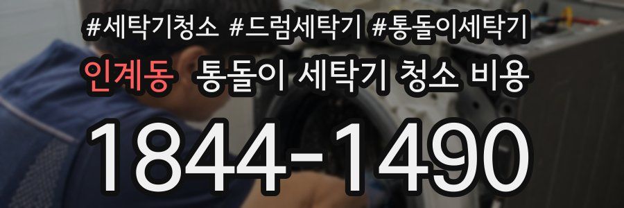 인계동 통돌이 세탁기 청소 비용