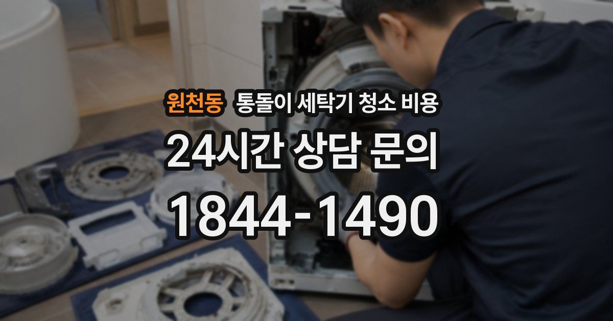 원천동 통돌이 세탁기 청소 비용