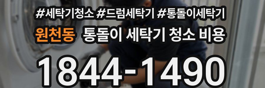 원천동 통돌이 세탁기 청소 비용