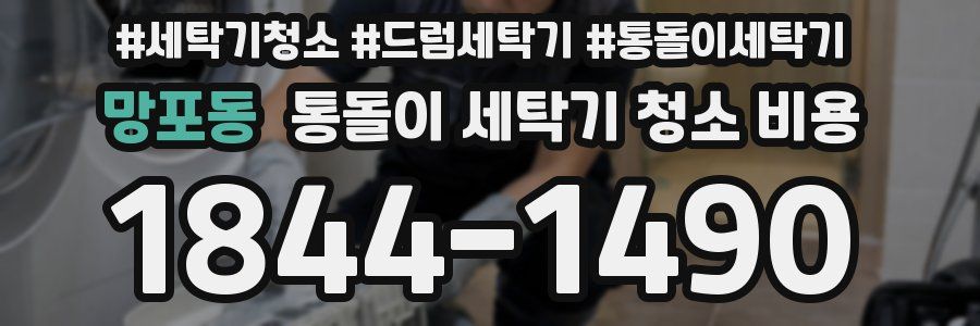 망포동 통돌이 세탁기 청소 비용