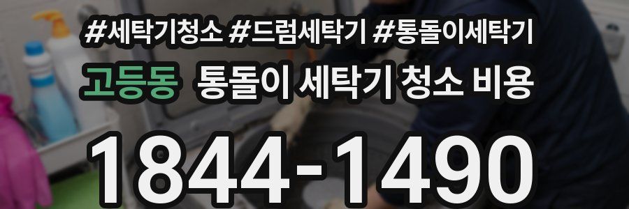 고등동 통돌이 세탁기 청소 비용
