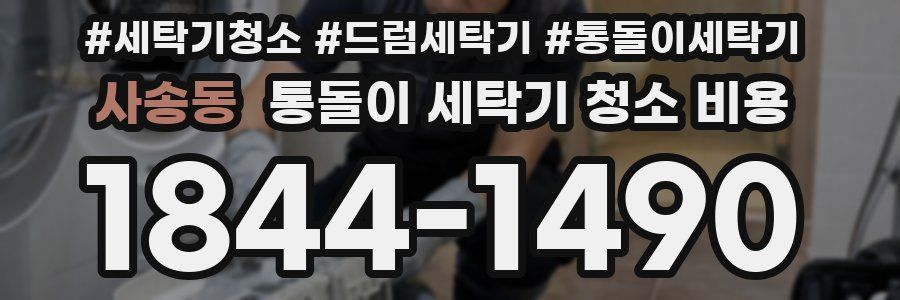 사송동 통돌이 세탁기 청소 비용