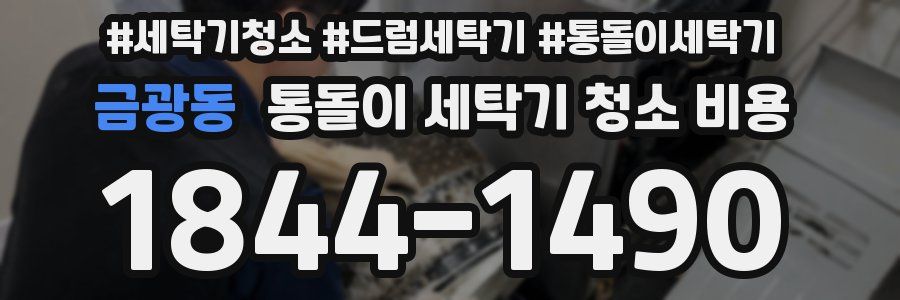 금광동 통돌이 세탁기 청소 비용