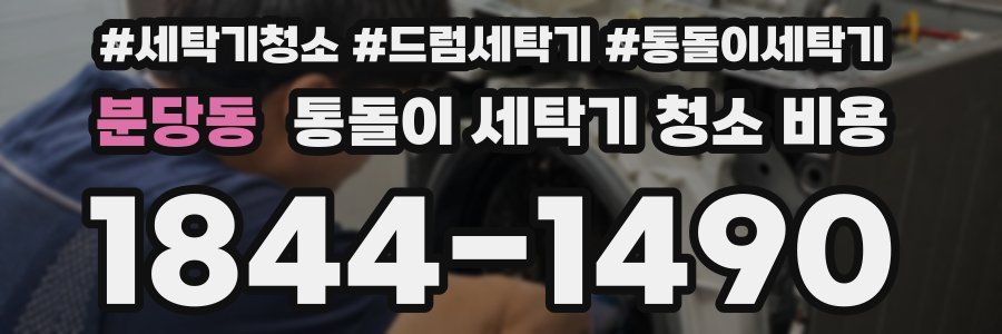 분당동 통돌이 세탁기 청소 비용