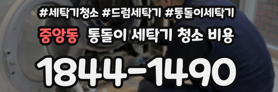 중앙동 통돌이 세탁기 청소 비용