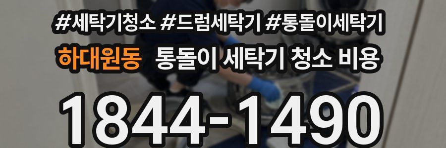 하대원동 통돌이 세탁기 청소 비용