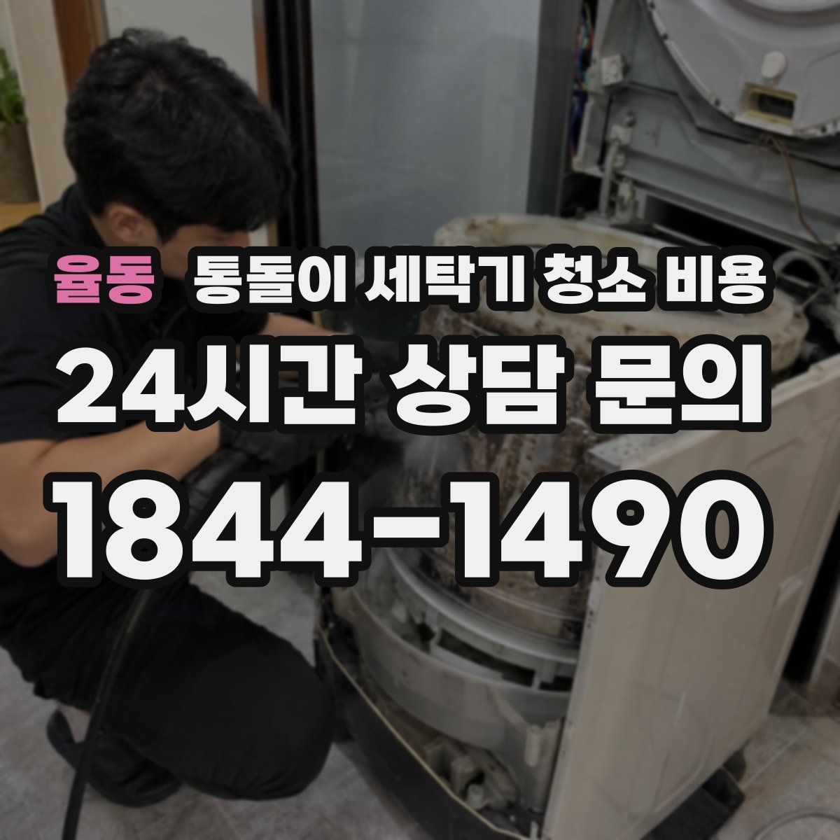 율동 통돌이 세탁기 청소 비용