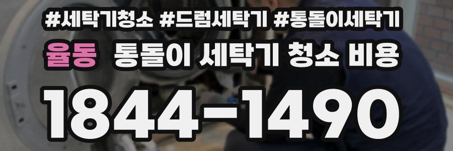 율동 통돌이 세탁기 청소 비용