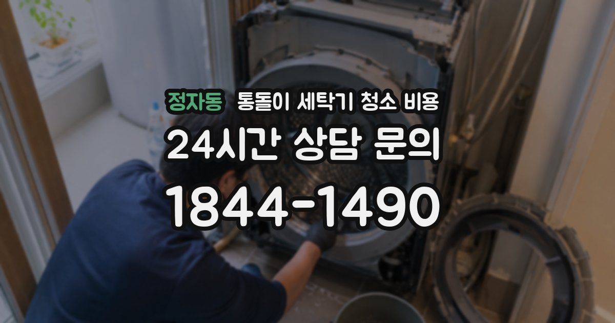 정자동 통돌이 세탁기 청소 비용