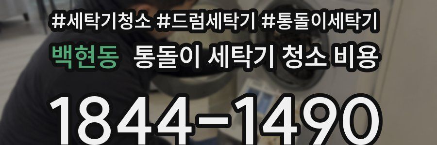 백현동 통돌이 세탁기 청소 비용