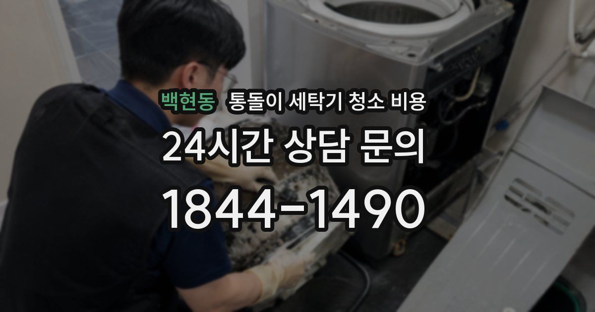 백현동 통돌이 세탁기 청소 비용