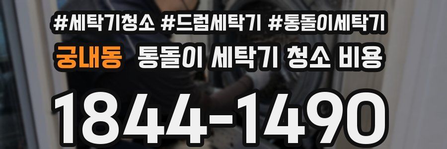 궁내동 통돌이 세탁기 청소 비용