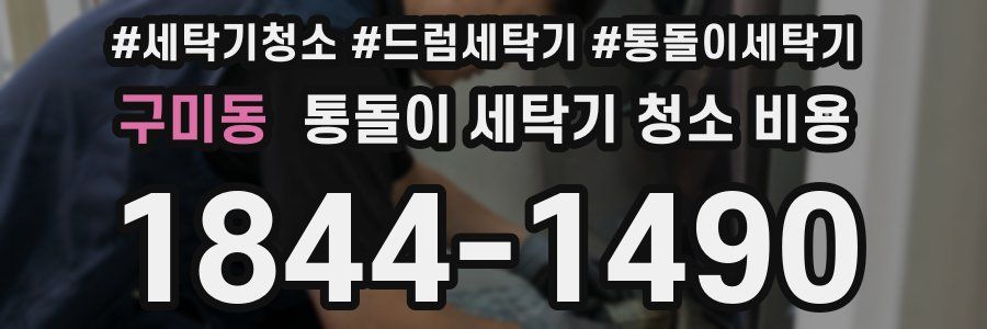 구미동 통돌이 세탁기 청소 비용