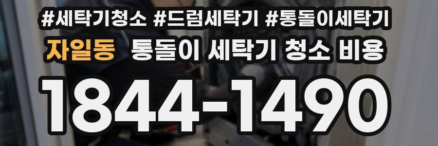 자일동 통돌이 세탁기 청소 비용