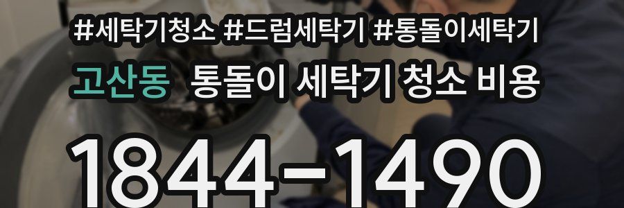 고산동 통돌이 세탁기 청소 비용