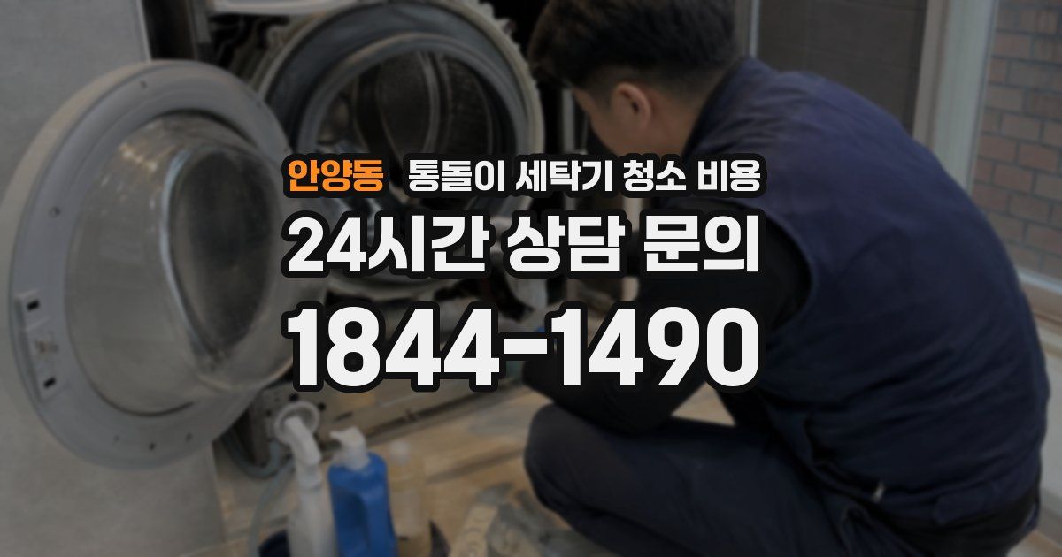 안양동 통돌이 세탁기 청소 비용