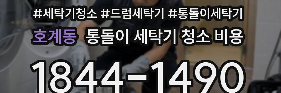 호계동 통돌이 세탁기 청소 비용