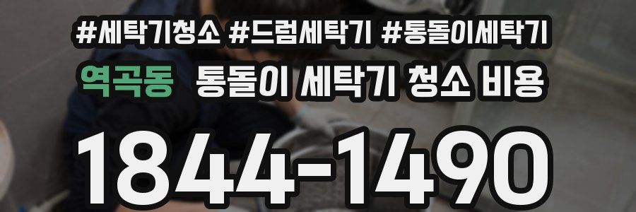 역곡동 통돌이 세탁기 청소 비용