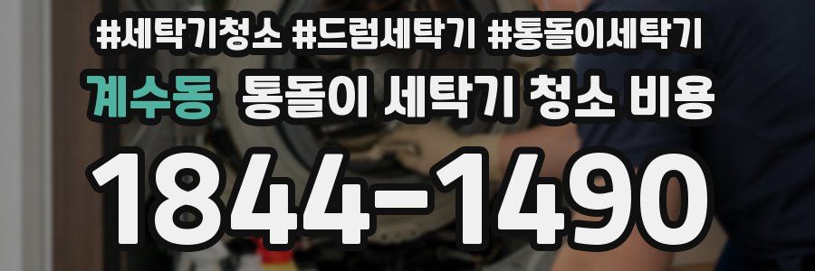 계수동 통돌이 세탁기 청소 비용