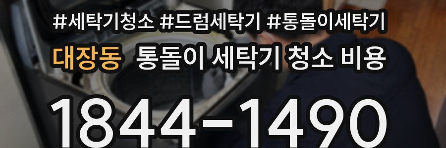 대장동 통돌이 세탁기 청소 비용