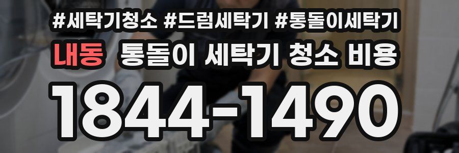 내동 통돌이 세탁기 청소 비용