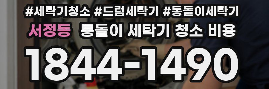 서정동 통돌이 세탁기 청소 비용