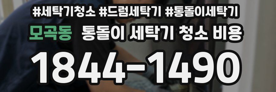 모곡동 통돌이 세탁기 청소 비용