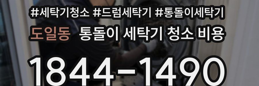 도일동 통돌이 세탁기 청소 비용