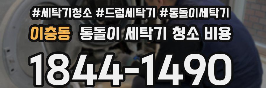 이충동 통돌이 세탁기 청소 비용