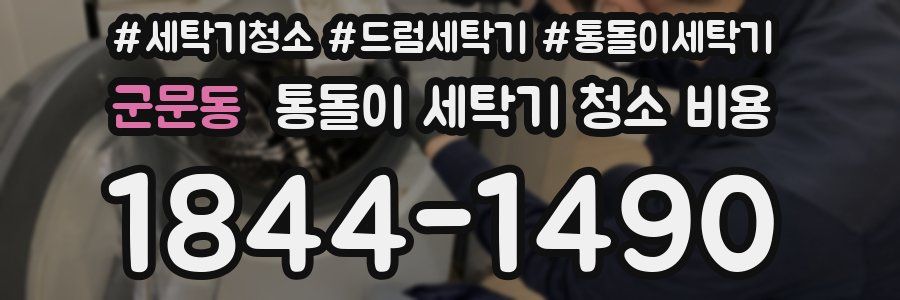 군문동 통돌이 세탁기 청소 비용