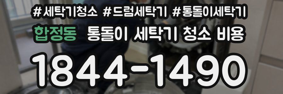 합정동 통돌이 세탁기 청소 비용