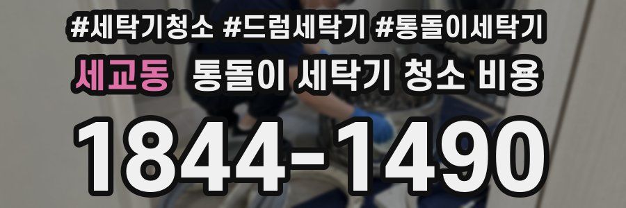 세교동 통돌이 세탁기 청소 비용