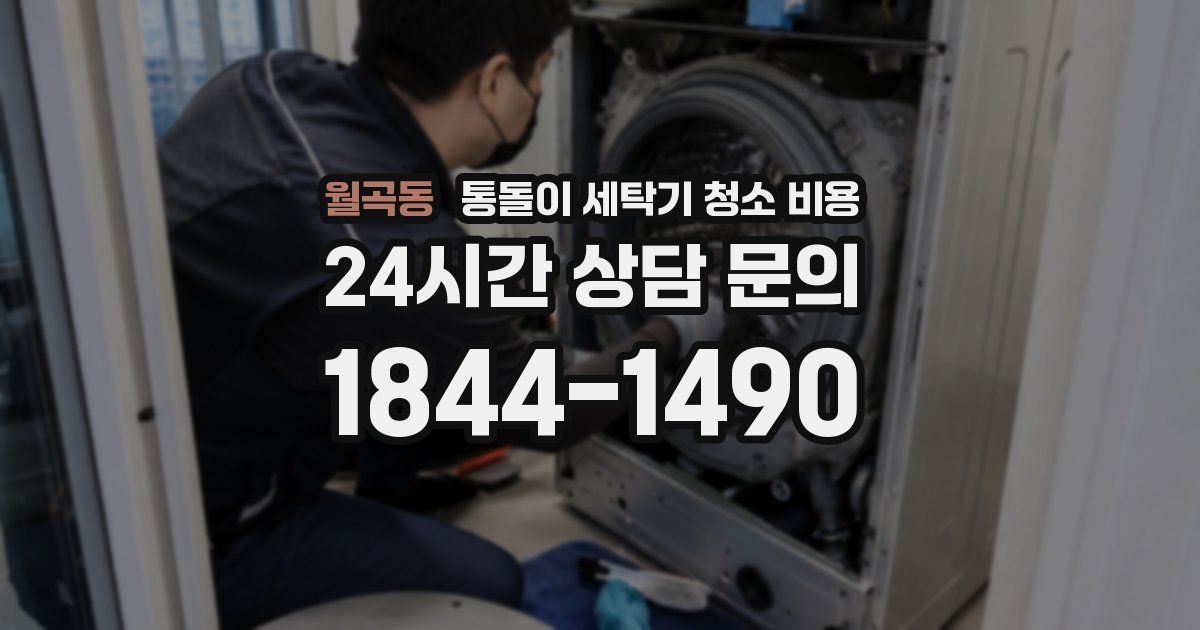 월곡동 통돌이 세탁기 청소 비용