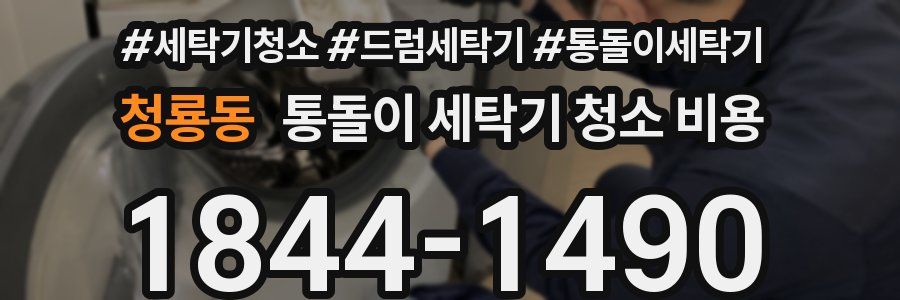 청룡동 통돌이 세탁기 청소 비용