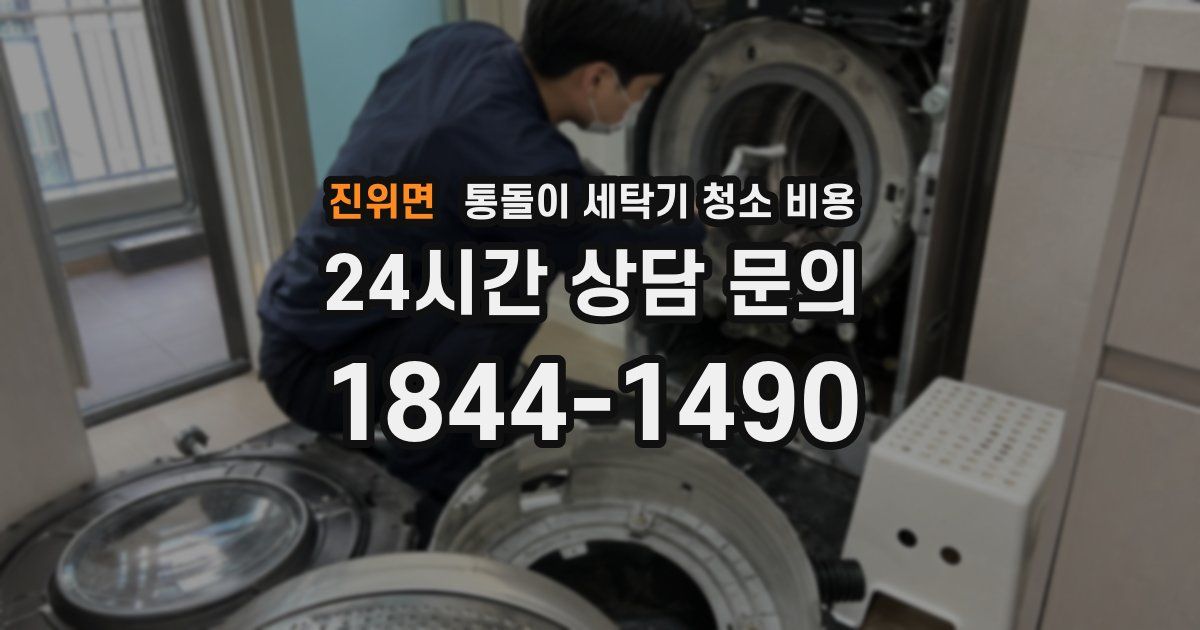 진위면 통돌이 세탁기 청소 비용