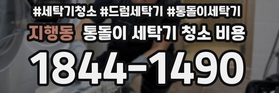 지행동 통돌이 세탁기 청소 비용