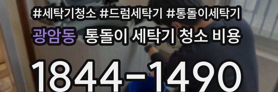 광암동 통돌이 세탁기 청소 비용