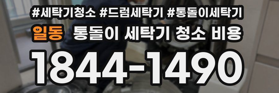 일동 통돌이 세탁기 청소 비용