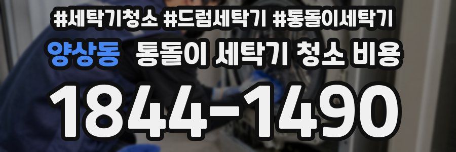 양상동 통돌이 세탁기 청소 비용