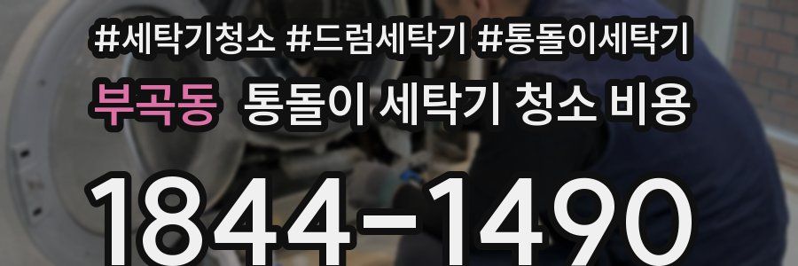 부곡동 통돌이 세탁기 청소 비용